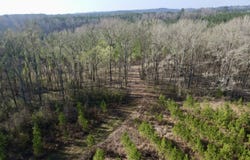 Dallas County Rd 324, Minter, AL 36761