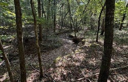 Old Stagecoach Road, Eldridge, AL 35554