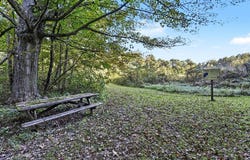 N County Line Road, Watervliet, MI 49098