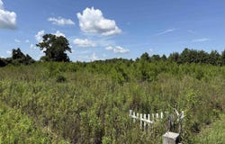 175 Dove Rd., Loris, SC 29569