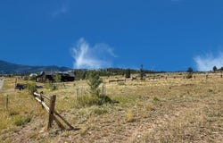 235 Bee McClure Drive, Creede, CO 81130