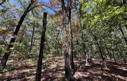 Cee Jay Ln, Sulphur Rock, AR 72579