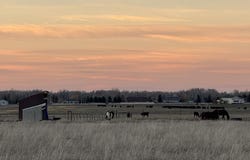 882 PEAK VIEW ESTATES RD., Victor, ID 83455