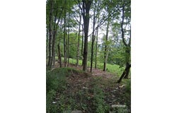 92 Skye Island Drive, Endicott, NY 13760
