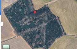 2605 P & P Lane, Sumter, SC 29153