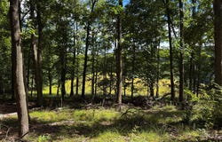 281 WHETSTONE Run, JULIAN, PA 16844