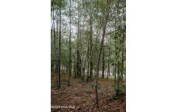 Nighthawk Loop lot: 3-Tbd, Aberdeen, NC 28315