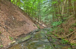 171 Strong Hill Road, Schenevus, NY 13488