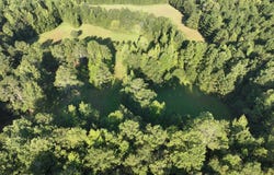 69935 Highway 22E, Roanoke, AL 36274