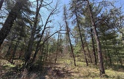 E GLADYS LANE, CHERRY VALLEY TWP, MI 49642