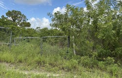 13074 71st Place N, The Acreage, FL 33412