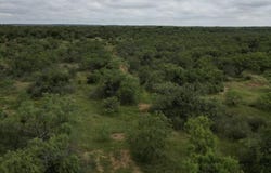 5181 CR 202, San Saba, TX 76877