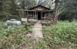 319 Shady Lane, Waynesville, GA 31566