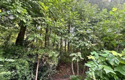 1 Elizabeth St, Elkton, MD 21921