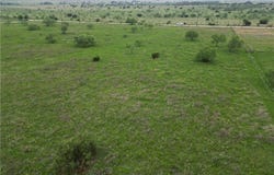 2332 County Road 2109, Lometa, TX 76853