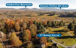 77 Honey Pot Lane, Davis, WV 26260