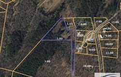 Catfish Drive, BUCHANAN, TN 38222