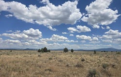 Tableland Road, Sprague River, OR 97639