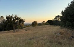Buggy Whip Drive, Coarsegold, CA 93614