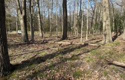 ABC Greenbush Road, Harbert, MI 49115