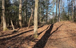 15 Cod Creek Drive, HEATHSVILLE, VA 22473