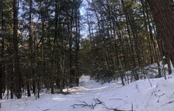 Chesterfield Road, Keene, NH 03431