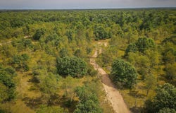 V/L S 142nd Avenue, Rothbury, MI 49452