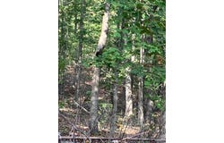 118 Madison CR 410, Fredericktown, MO 63645