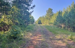 tr 20 FM 83, Pineland, TX 75968