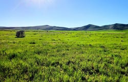 1948 LOWER BERN Rd, Bern, ID 83220