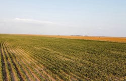RD 24, Moscow, KS 67952