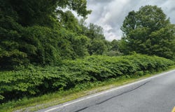 458 Coy Road, Greenfield Center, NY 12833