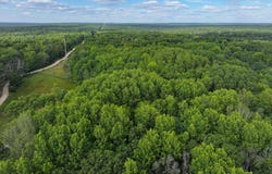 V/L 13.06A E 84th St, Reed City, MI 49677