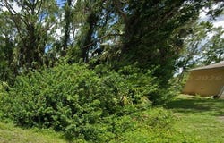 3216 70th Street W, Lehigh Acres, FL 33971