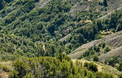 46190 Pfeiffer Ridge, Big Sur, CA 93920