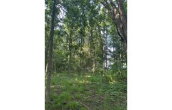 5387 Dildine Road, Delaware, OH 43015