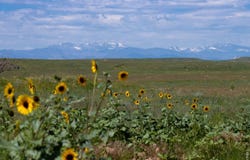 46 TBD County Road, Carr, CO 80612