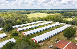 County Road 623, Enterprise, AL 36330