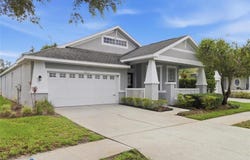 4613 CORSAGE Drive, LUTZ, FL 33558