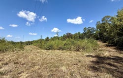 Cooper Road, Camden, MS 39045