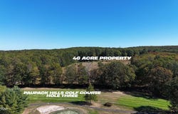 Shiny Mountain Road, Tafton, PA 18464