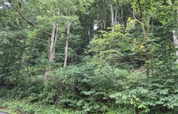 Blue Ridge Rd, Glasgow, VA 24555