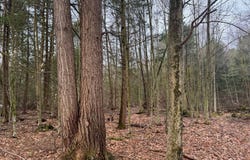 3650 State Route 69, Blossvale, NY 13471