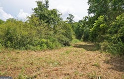 64 Askin Place, Culloden, GA 31016