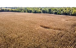 Highway D, Perry, MO 63462