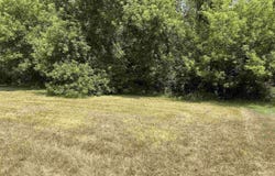 307 Red Maple Lane, Shepherd, MI 48883