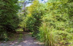 1804 Whitetown Rd. lot: 30, Hillsville, VA 24343