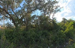 Sunray Road lot: 1, Ingleside, TX 78362