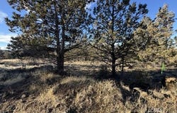 Canvasback Drive, Bonanza, OR 97623