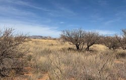 S Cochise Trail, St. David, AZ 85630